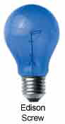 Daylight Tungsten Edison Screw 240V 60 W